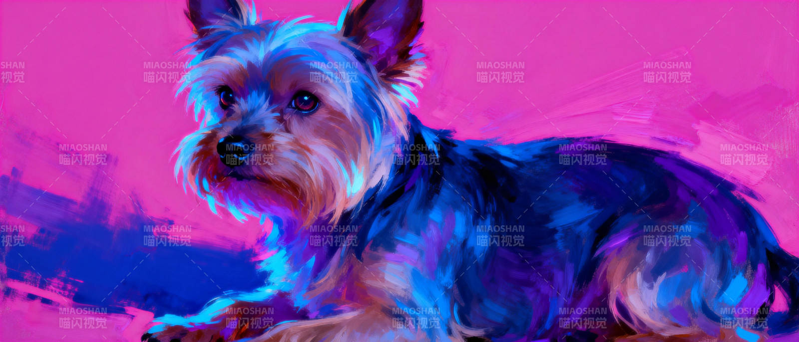 炫彩约克夏图片