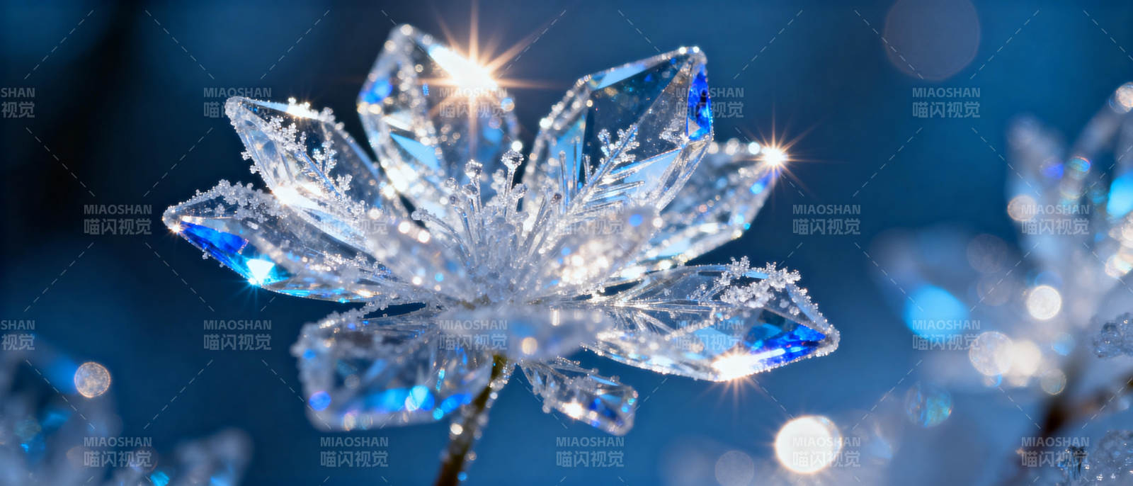 晶莹雪花绽放图片