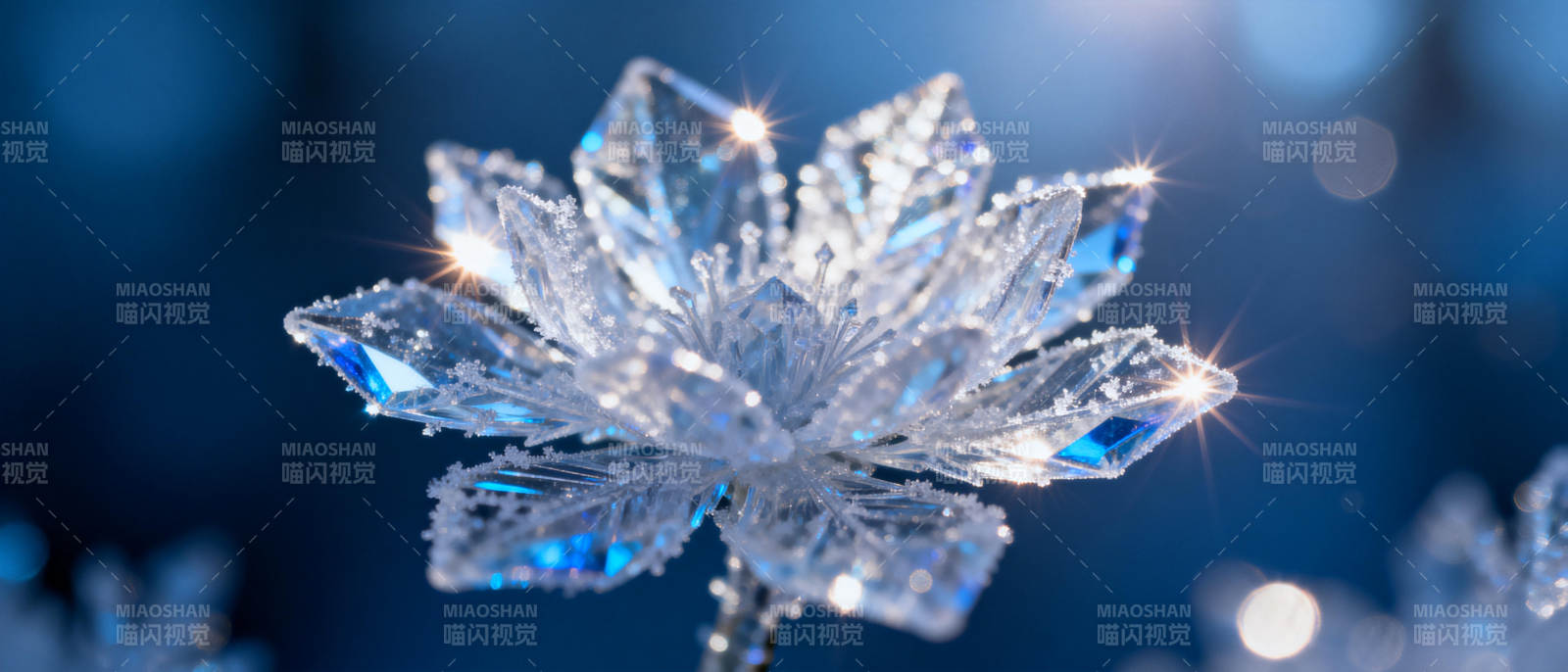 晶莹雪花绽放图片