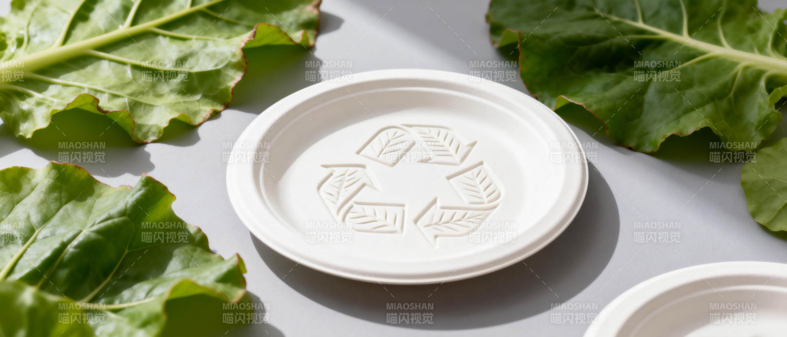 环保餐盘与绿叶图片