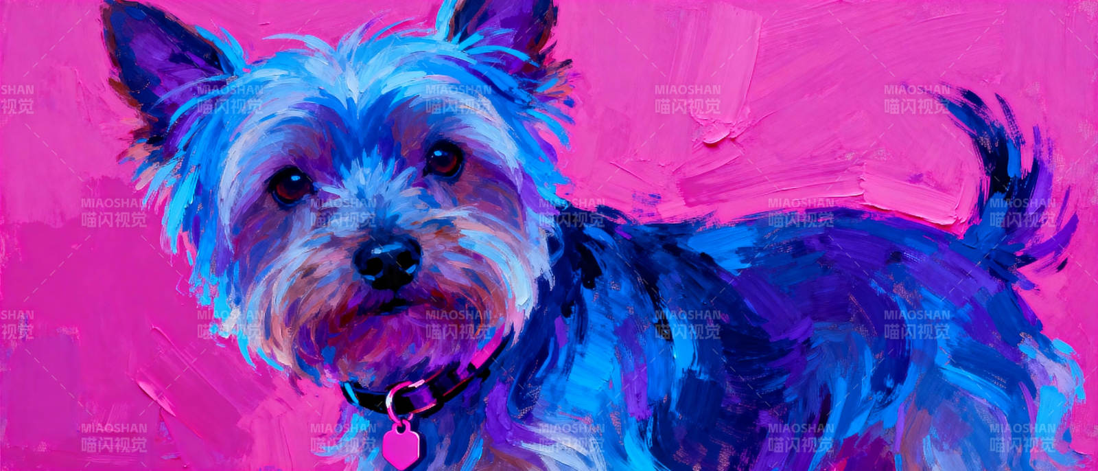 炫彩约克夏图片