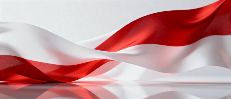 红白飘扬的旗帜图片