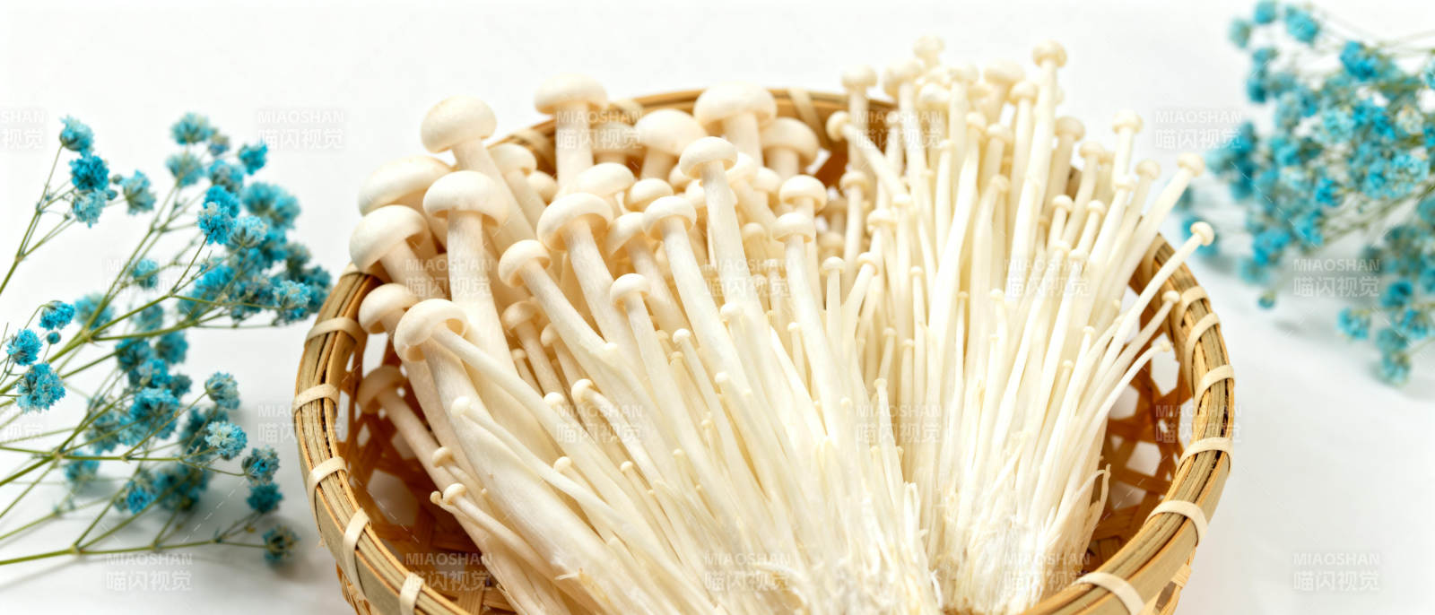 新鲜金针菇特写图片