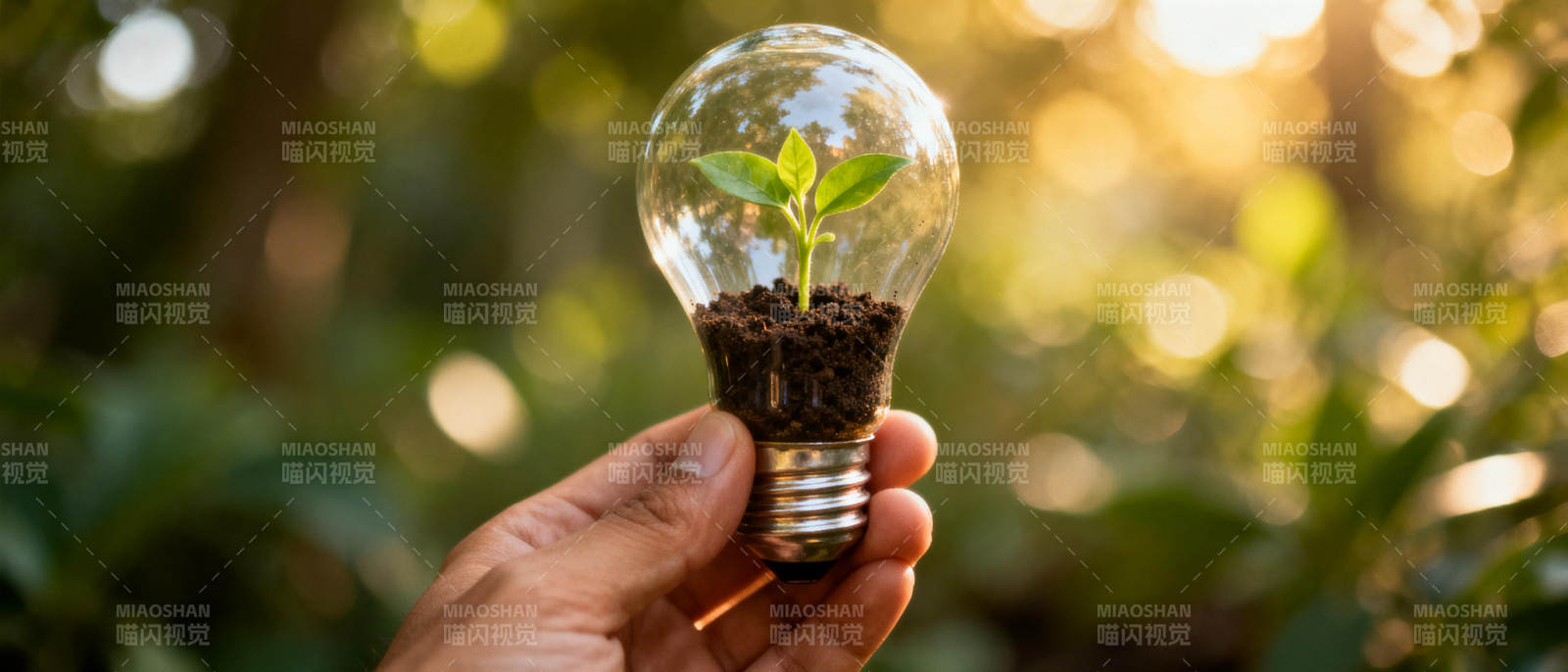 绿色能源新希望图片