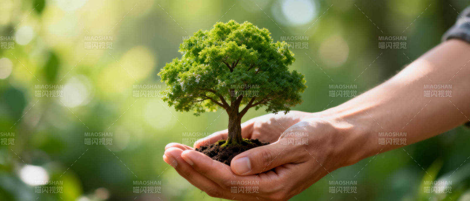 手捧绿树 守护自然图片