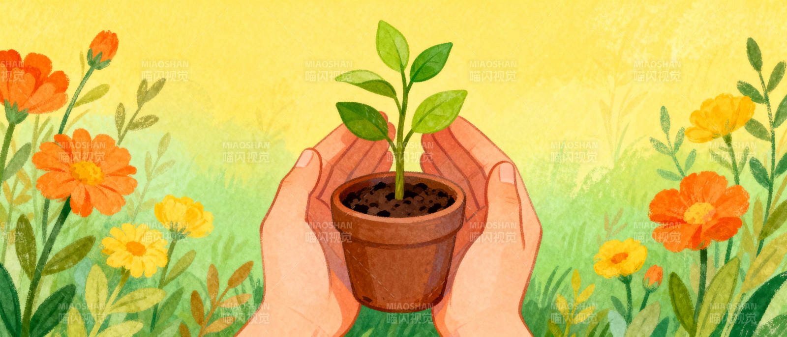 守护新生命图片