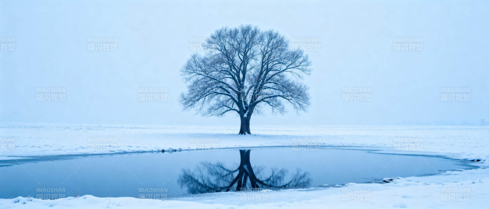 孤树映雪湖图片