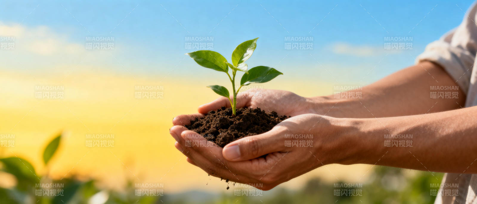 守护新生绿意图片