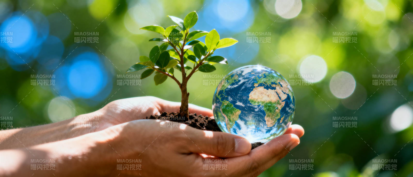守护地球 种下希望图片