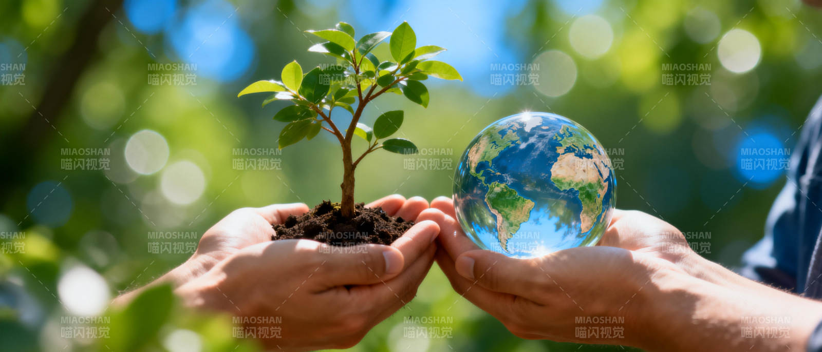 守护地球 从我做起图片