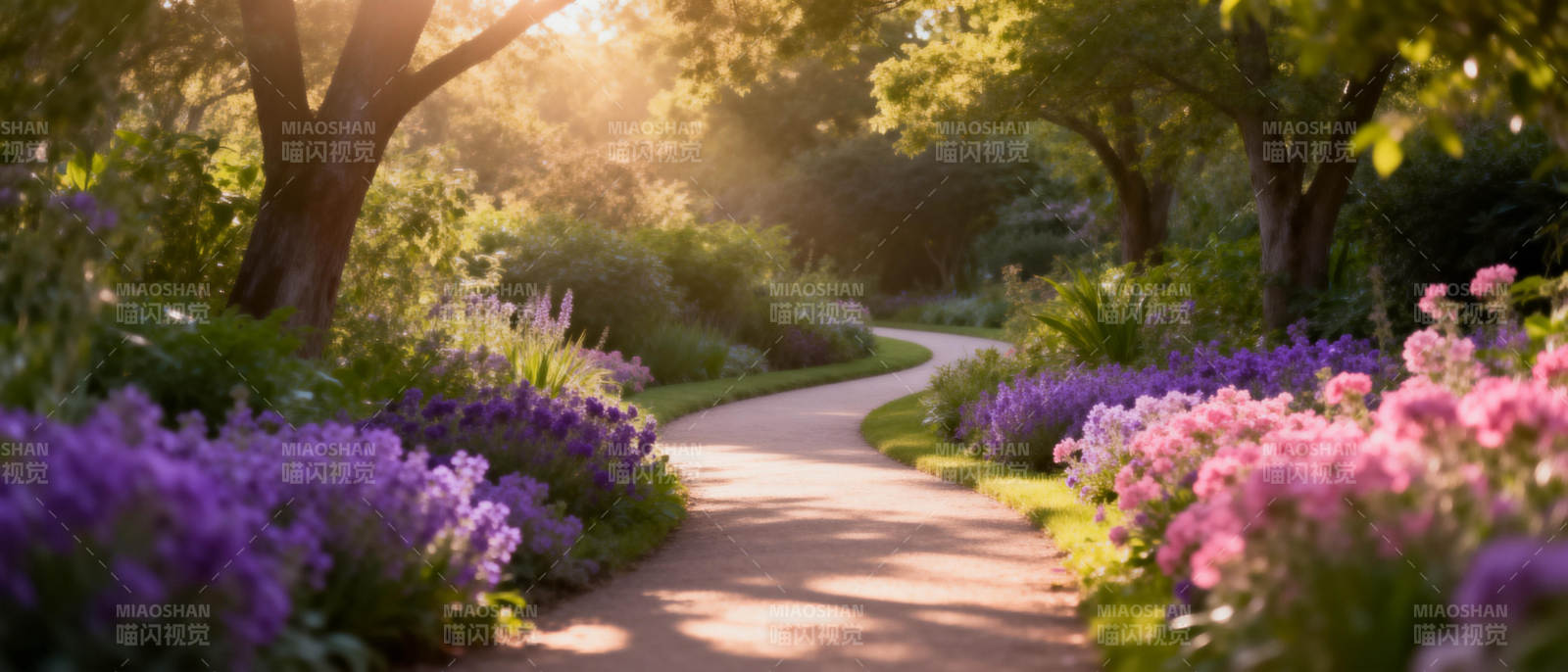 花径晨光图片