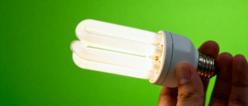 节能灯泡 绿色背景图片