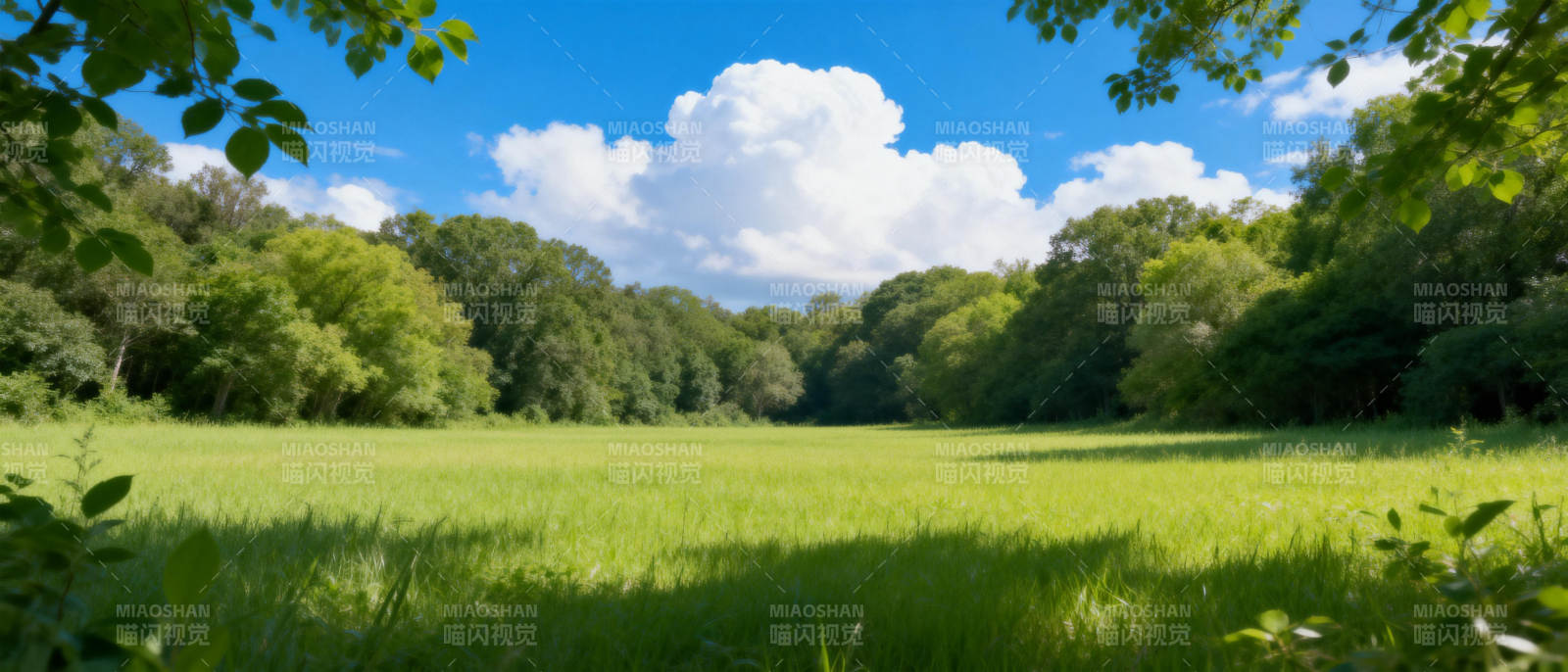 绿野晴空图片