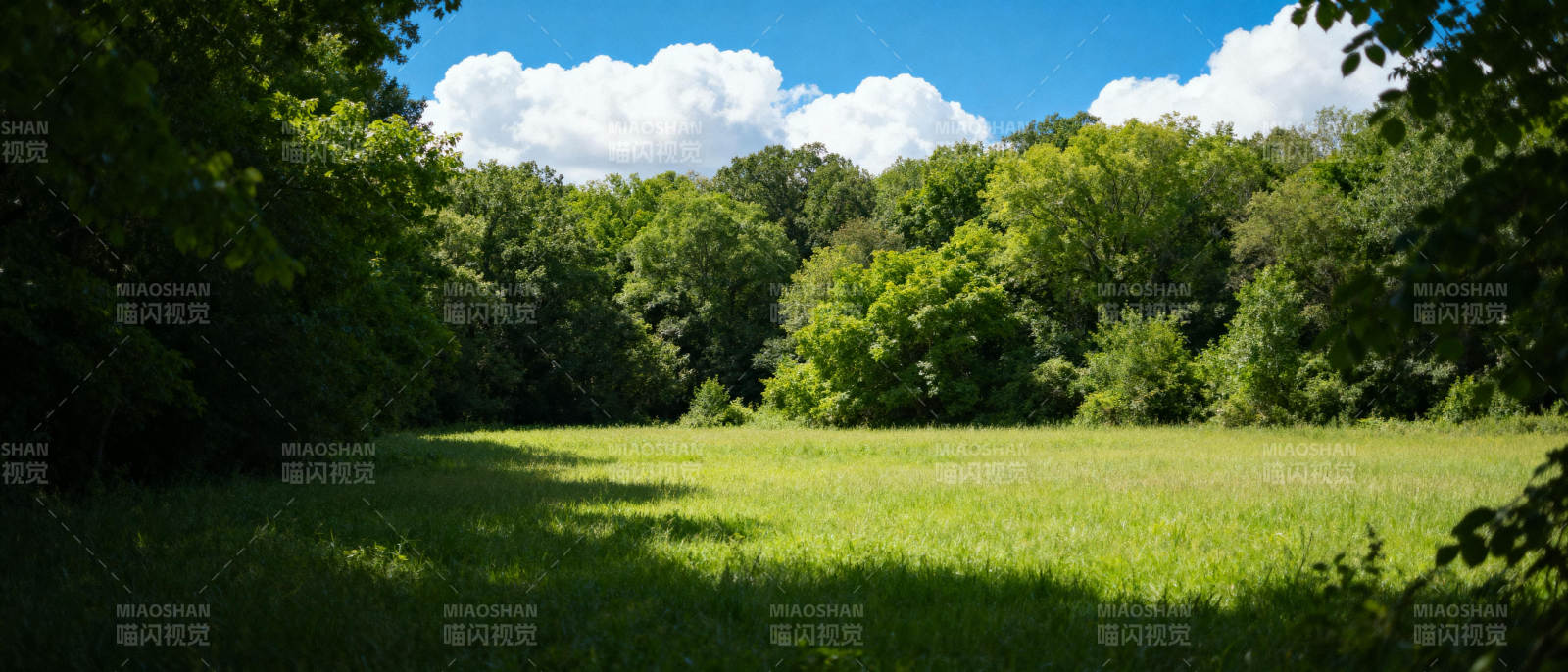 绿野蓝天 树影婆娑图片