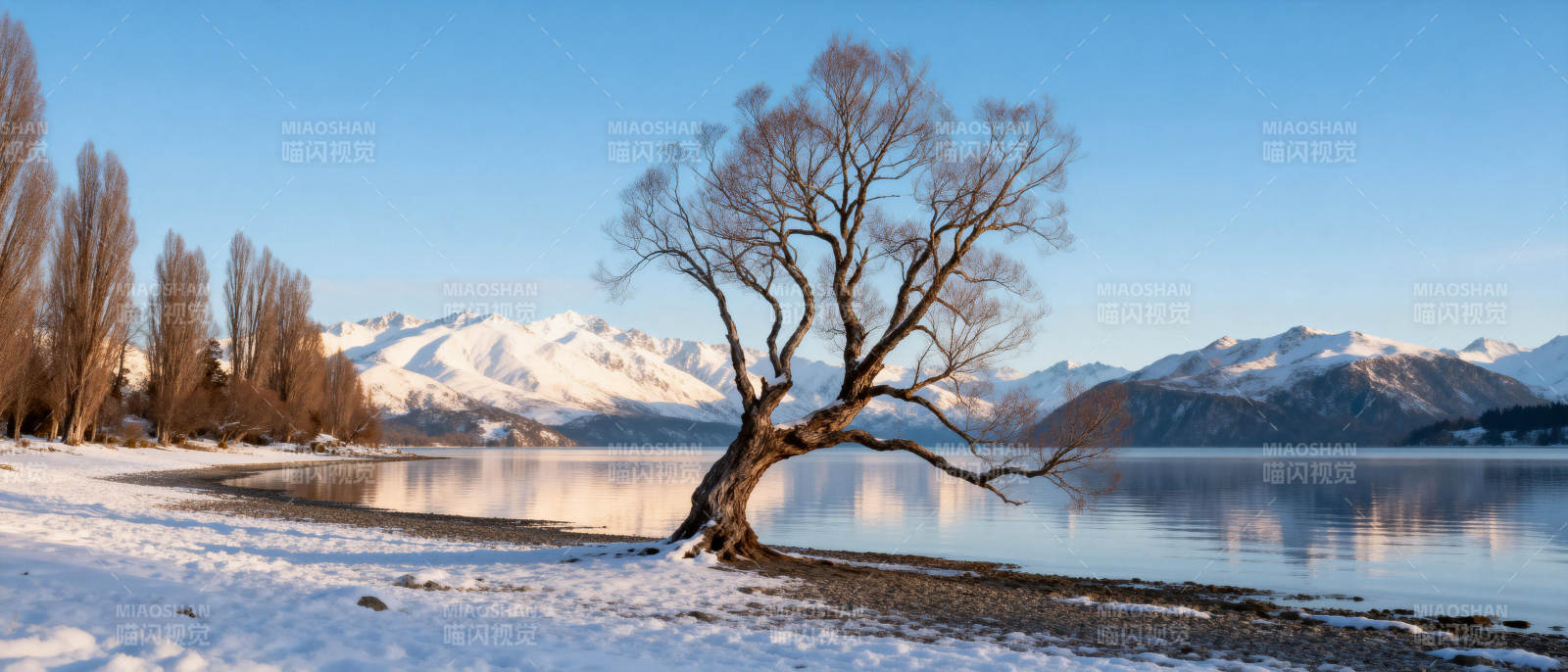 雪湖孤树映山影图片