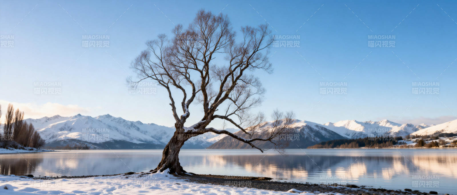 雪湖孤树映山影图片