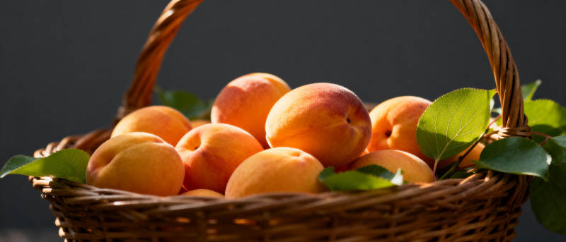 篮中新鲜杏子图片