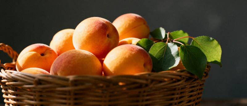 篮中新鲜杏果图片