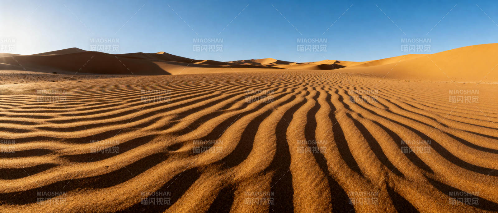 沙漠波纹图片