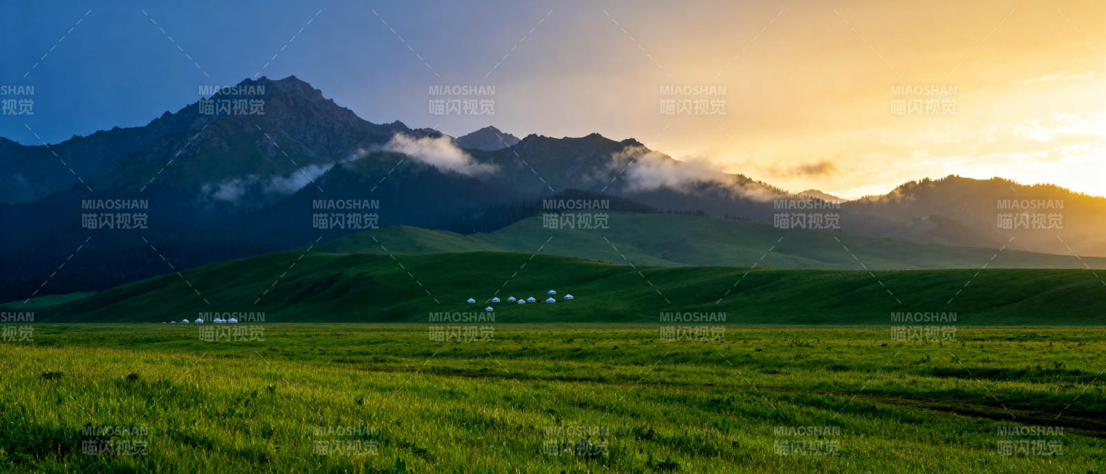 山野晨曦 绿意盎然图片