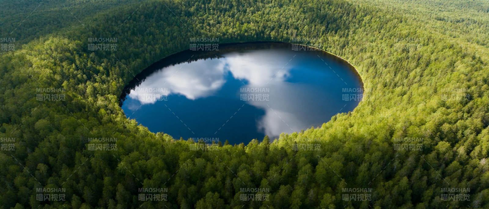 森林中的镜湖图片