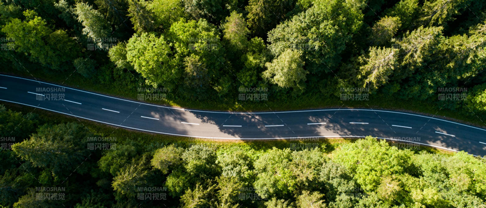 林间蜿蜒公路图片