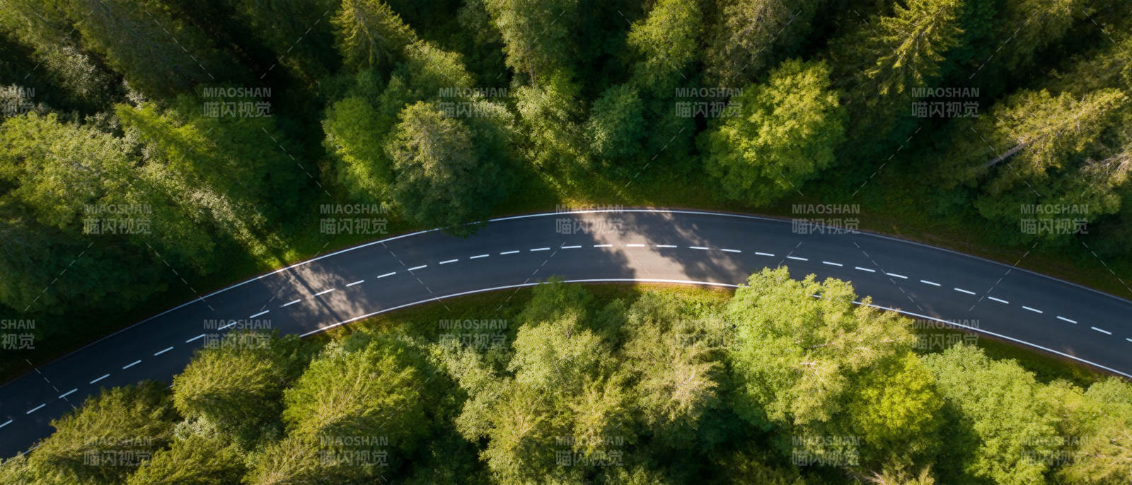 森林中的蜿蜒公路图片