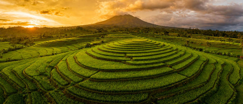 梯田日出风光图片