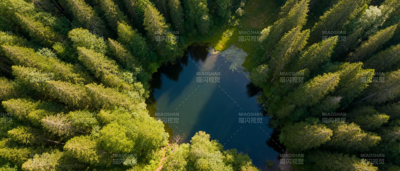 森林中的心形湖图片