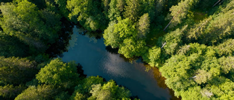 森林溪流航拍图图片