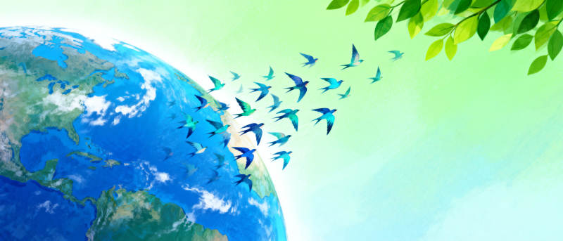 地球与飞鸟图片
