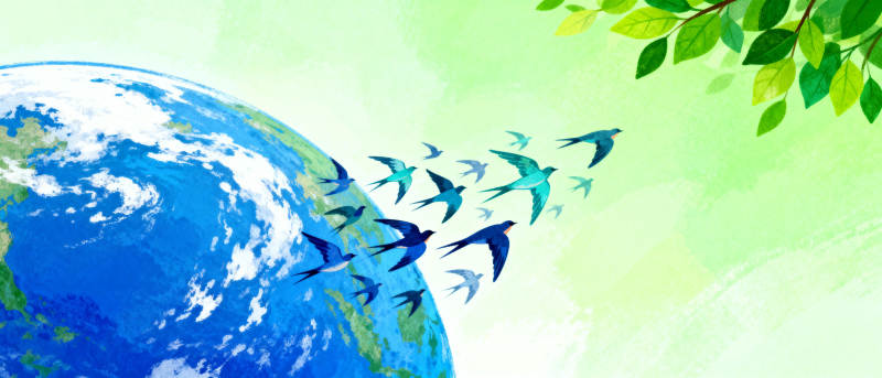 地球与飞鸟共舞图片