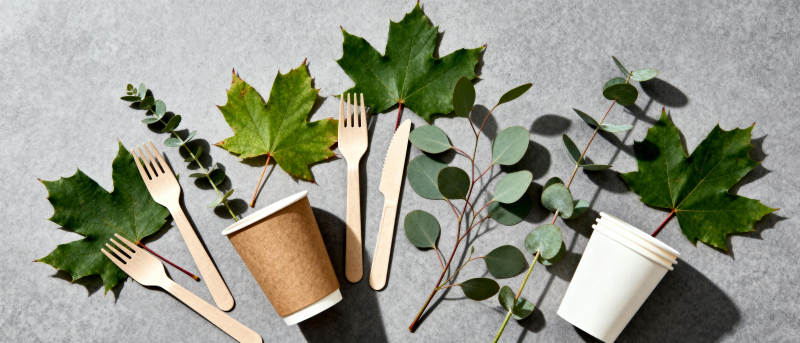 环保餐具与绿叶图片