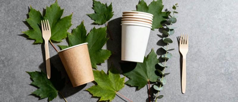 环保餐具与绿叶图片
