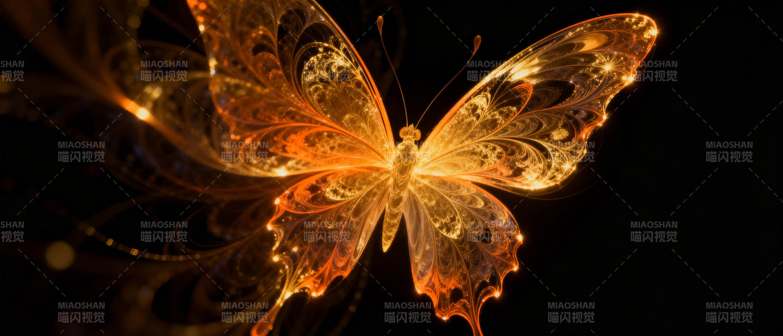 金色蝶影图片