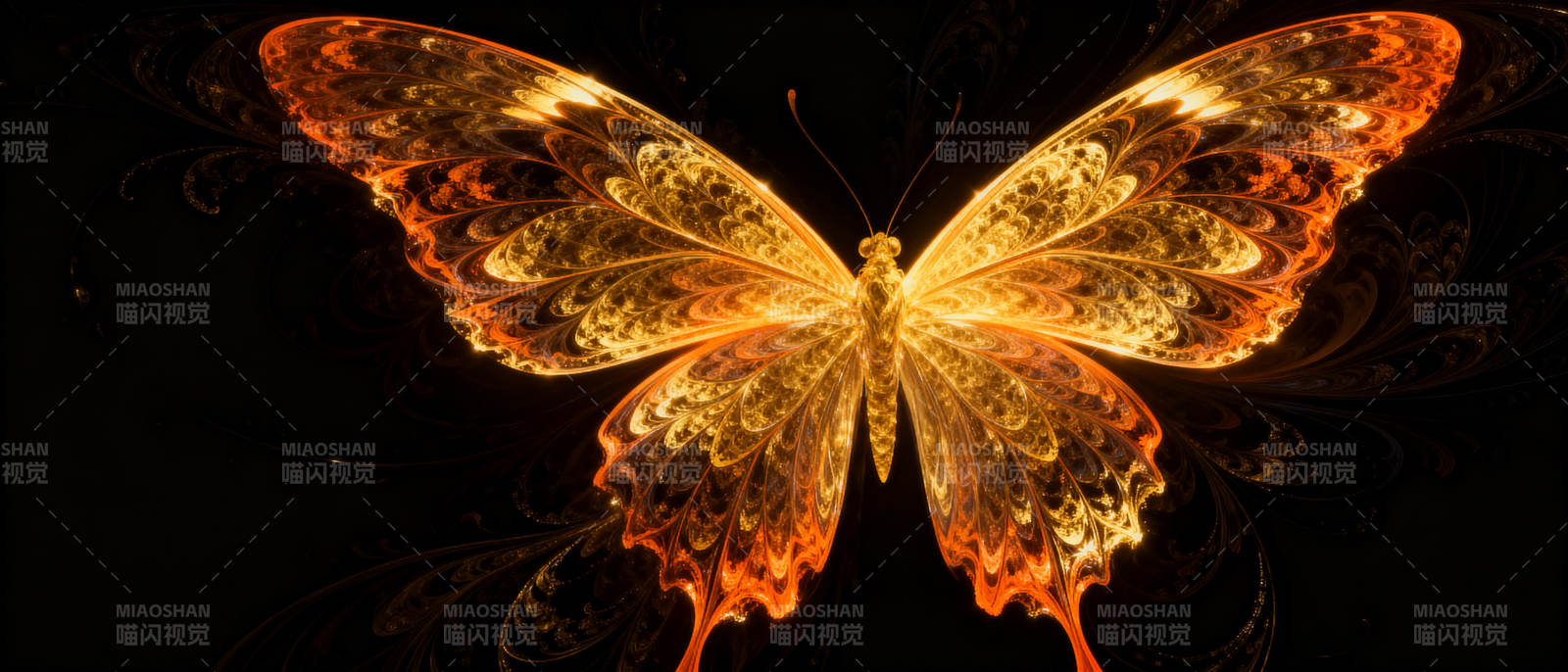火焰蝶影图片