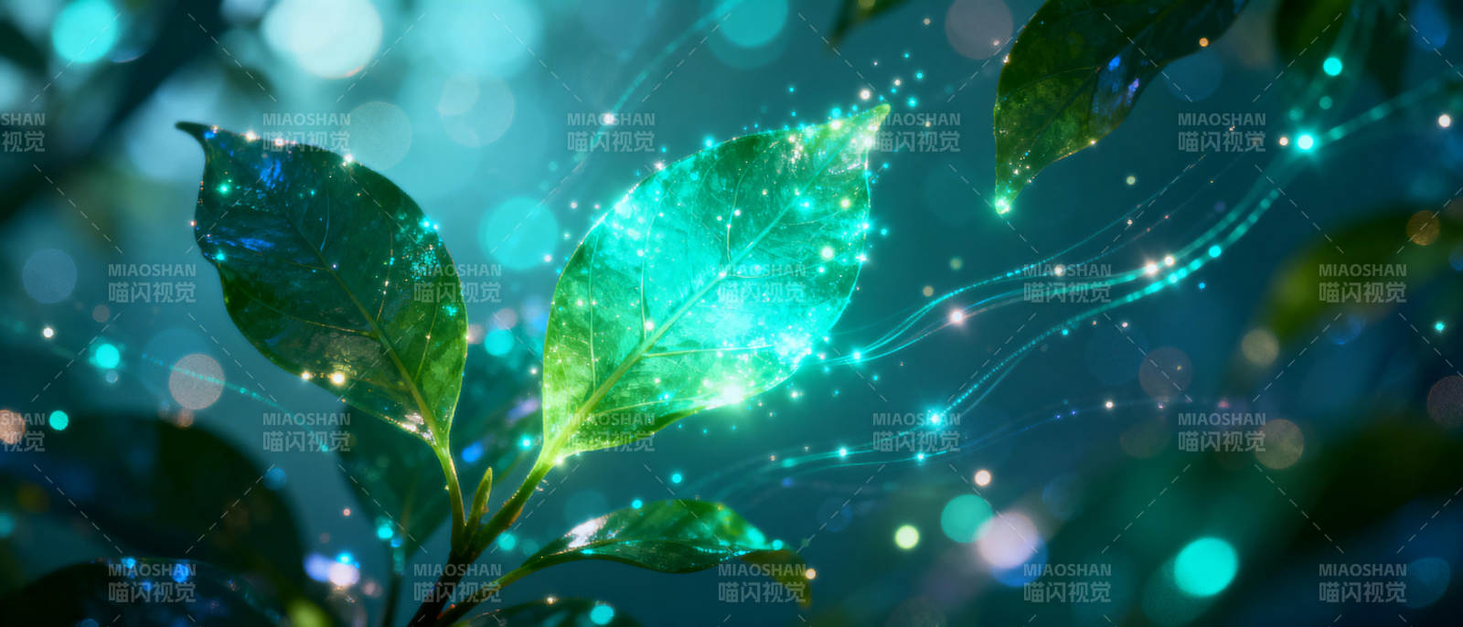 绿叶星光闪烁图片