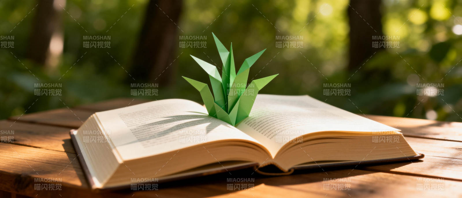 书页上的绿植图片