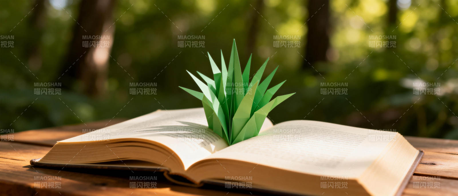 书页上的绿叶图片