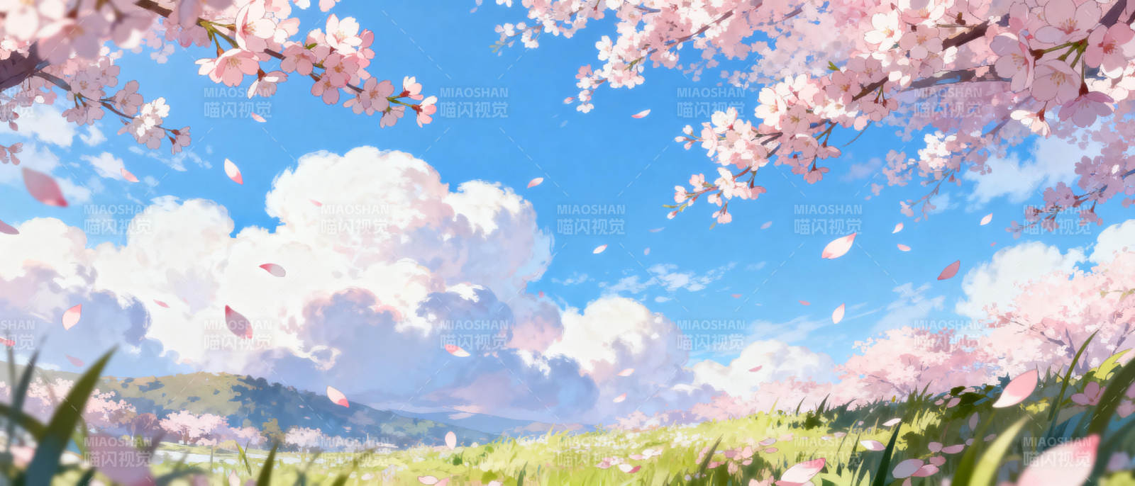 樱花纷飞春日景图片