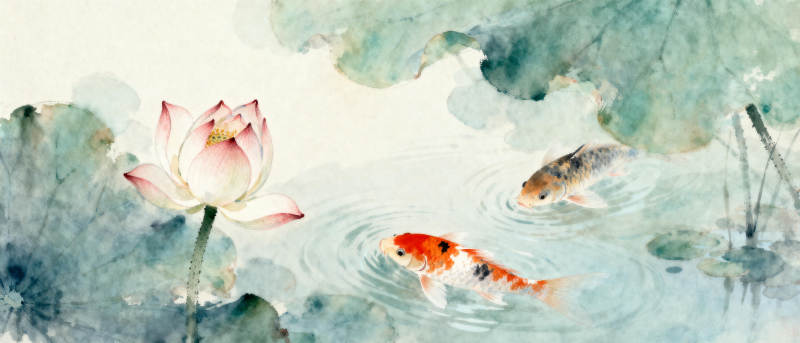 荷塘锦鲤戏水图片