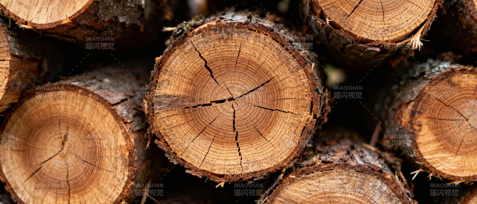 木桩堆叠特写图片