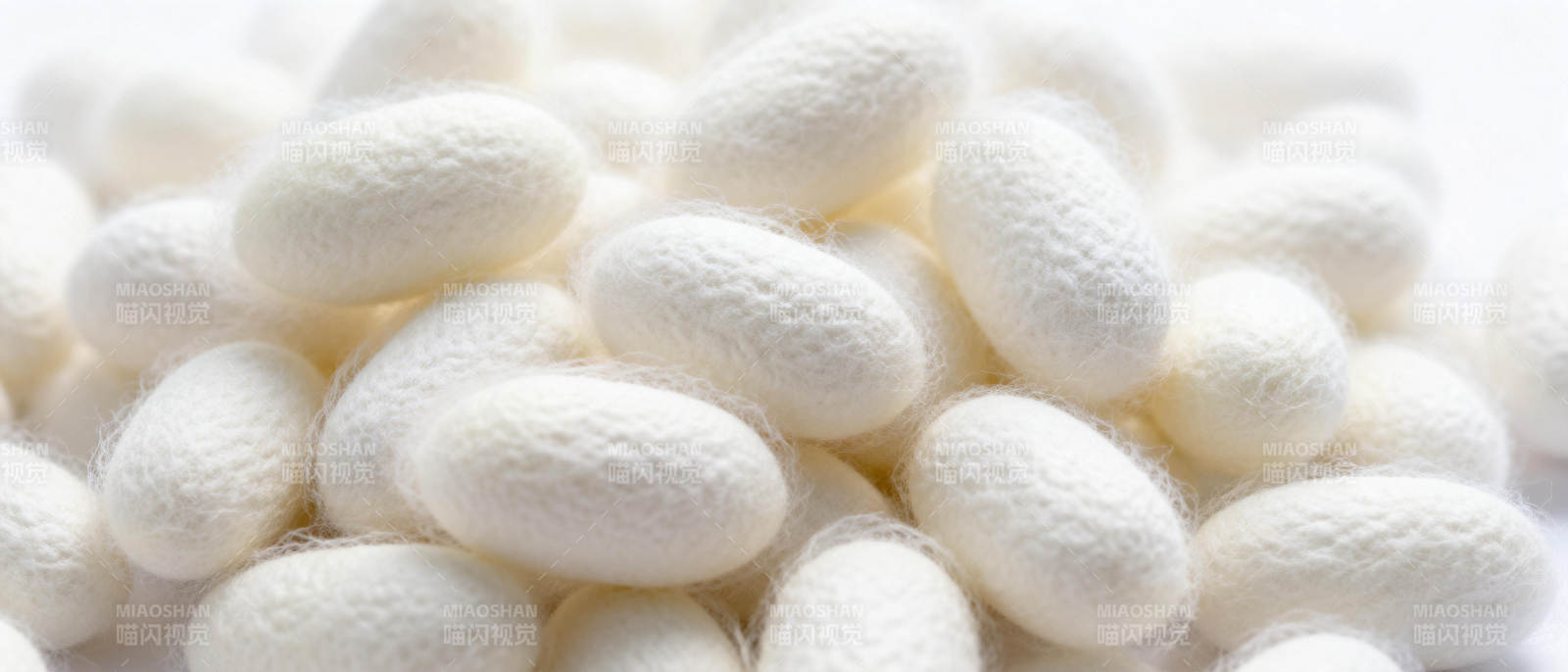 蚕茧堆叠特写图片