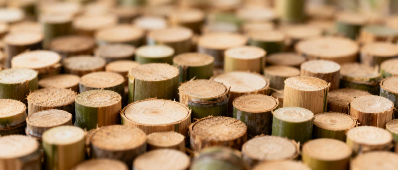 整齐排列的木桩图片