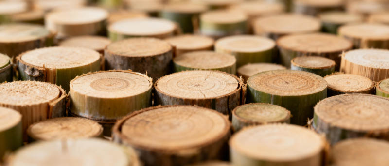 整齐排列的木桩图片