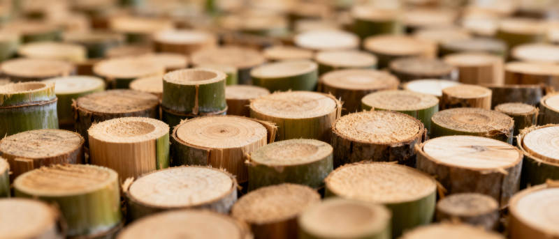 整齐排列的木桩图片