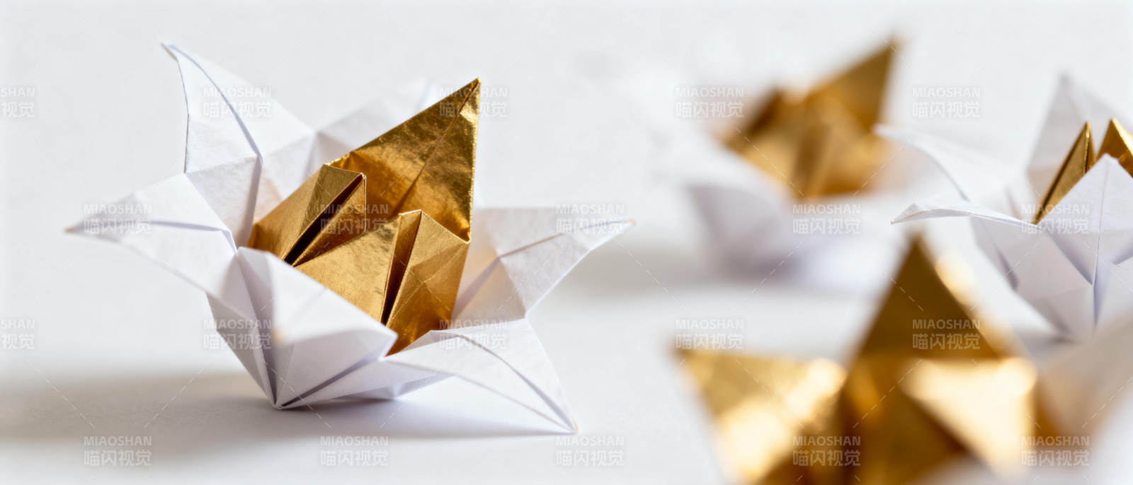 折纸金星绽放图片