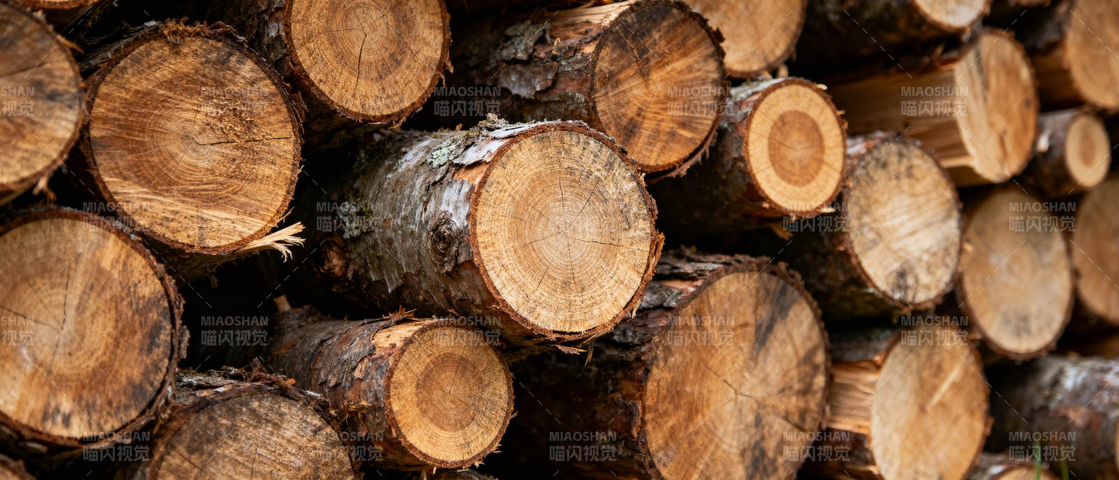 原木堆叠图片
