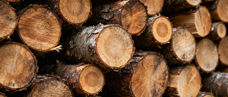 原木堆叠图片