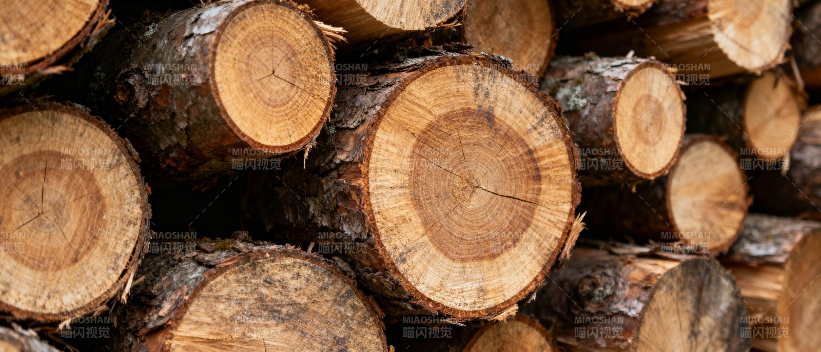 原木堆叠图片
